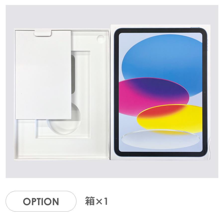 iPad 10世代 64GB 箱付き　ブルー iPad 【Cランク】iPad 第10世代 ブルー 64GB Wi-Fiモデル 箱付き 中古