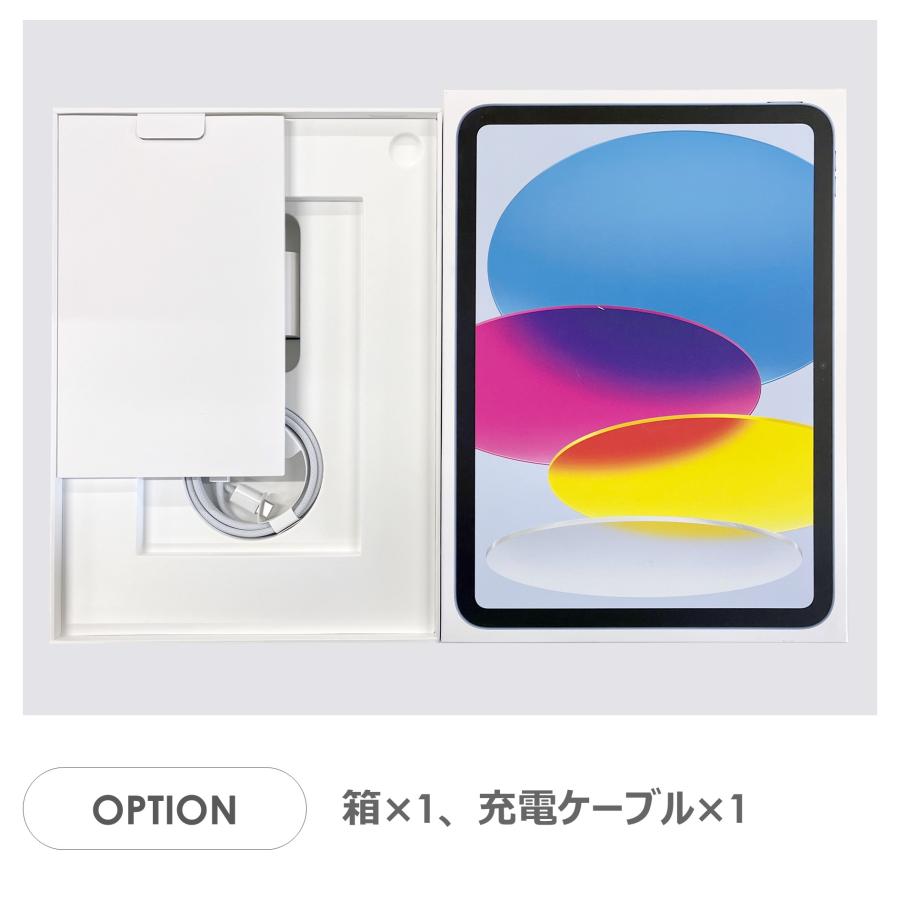 iPad 【Bランク】iPad 第10世代 ブルー 64GB Wi-Fiモデル 箱・ケーブル