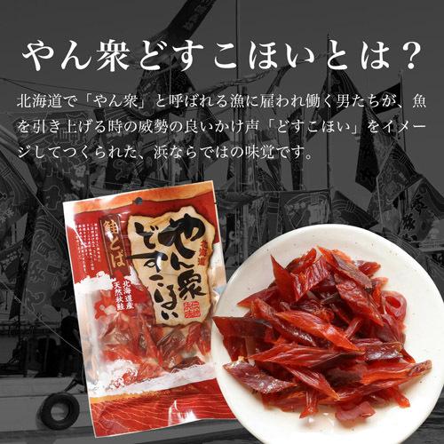 ☆お試し送料無料ポスト投函限定☆ ヤマニ野口水産 北海道産 鮭とば