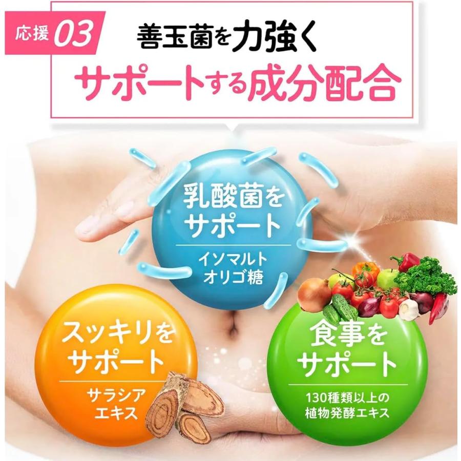 ビオフル BIOFULL 30粒 腸内フローラ 善玉菌 ビフィズス菌 腸活 痩せ菌｜sdr｜04