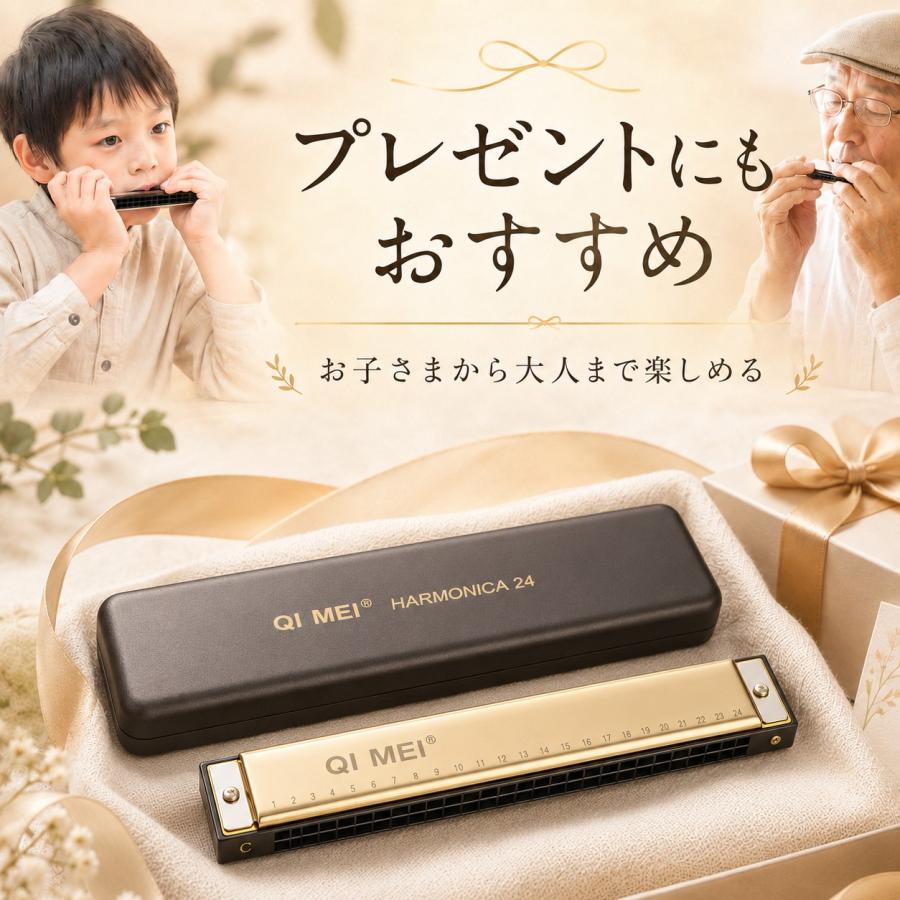 ハーモニカ C調 24穴 複音 初心者 子供向け 入門 練習用 クリーニング