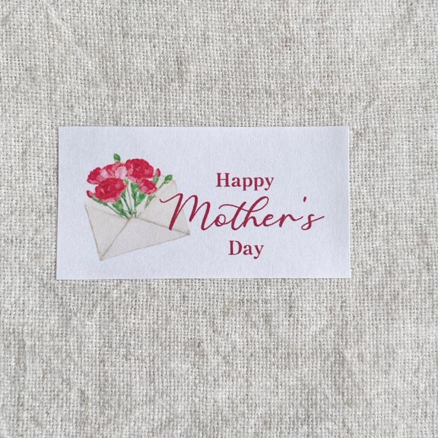 237    ＊ラッピングシール＆タグ かわいい クリスマスシール 6種 ラッピングに 48枚 NO.526 : se