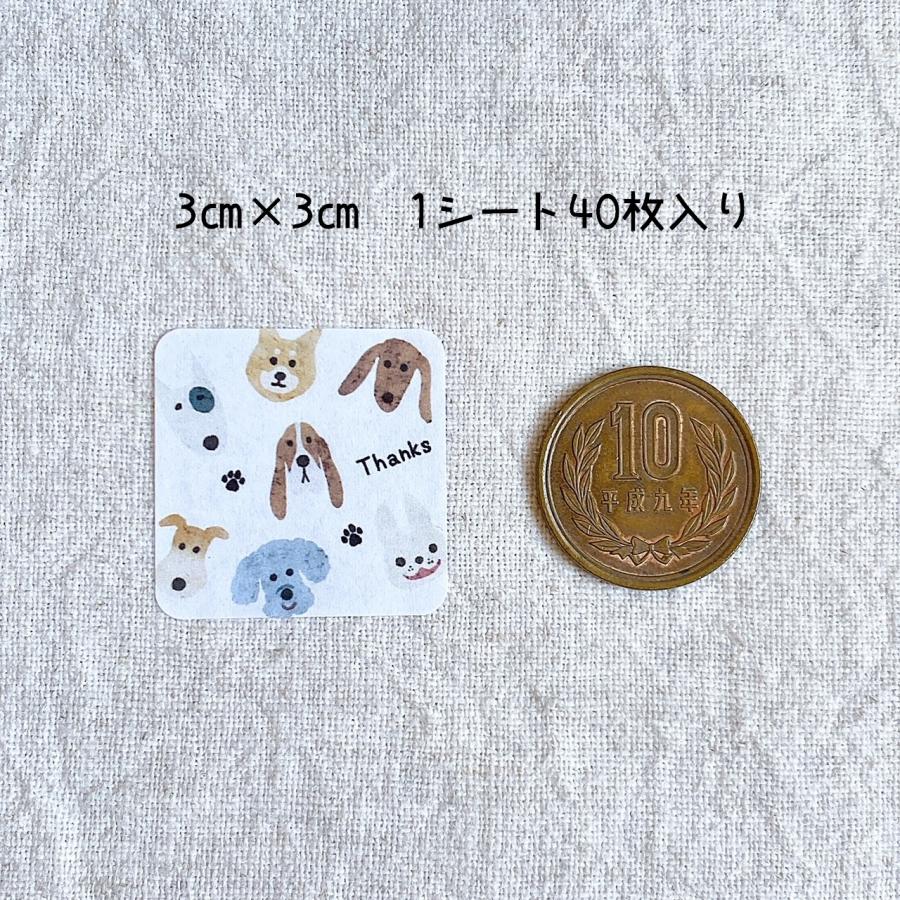 Thank youシール 犬 わんちゃん Thanks 3cm正方形 40枚 NO.2169 : se