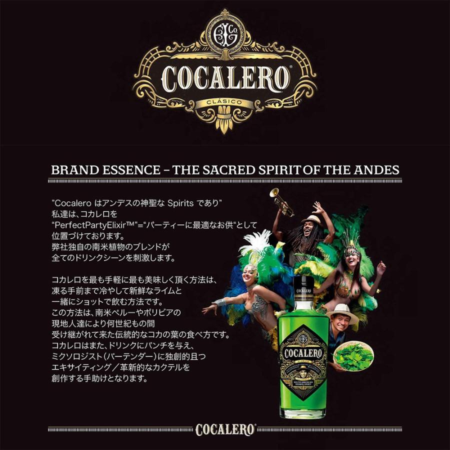 COCALERO リキュール コカレロ 29度 700ml x 2本セット コカレロ COCALERO リキュール コカレロ 29度 700ml x 2本セット コカレロ