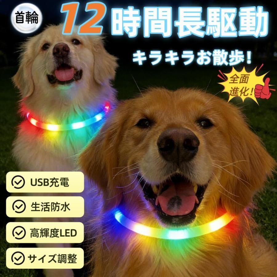 12 時間駆動・3 ヶ月保証】USB 充電式 光る首輪 高輝度 LED 防水 夜間