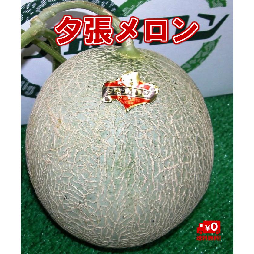 無料 北海道名産 共撰 夕張メロン 良品 １玉 約１ ６ｋｇ ｊａ夕張市が誇る北海道の夏を代表する特産品 送料無料