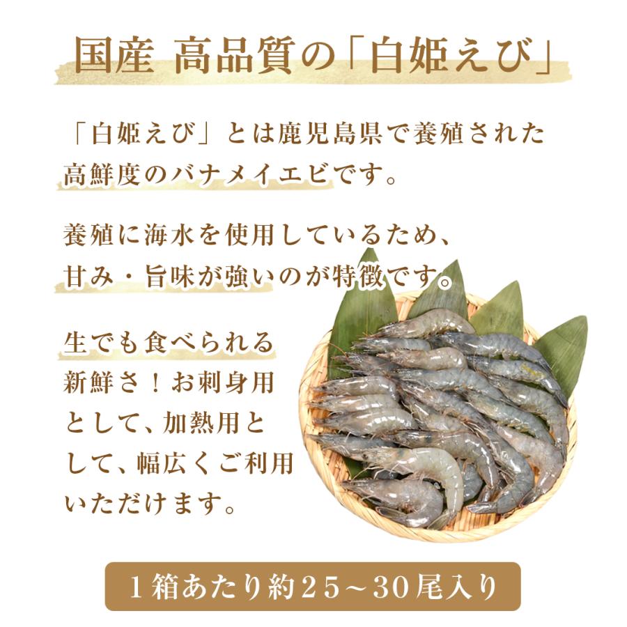白姫えび 500g 有頭殻付き 海鮮 食材 q エビ 海老 えび 海鮮バーベキュー シーフード 新年会 匠のかに シーフード本舗ヤフー店 通販 Yahoo ショッピング