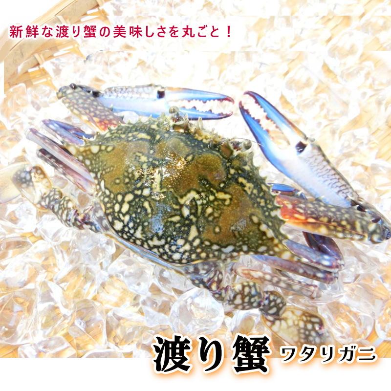 ワタリガニ 渡り蟹 約100g ラウンド わたりがに 姿・渡り蟹姿