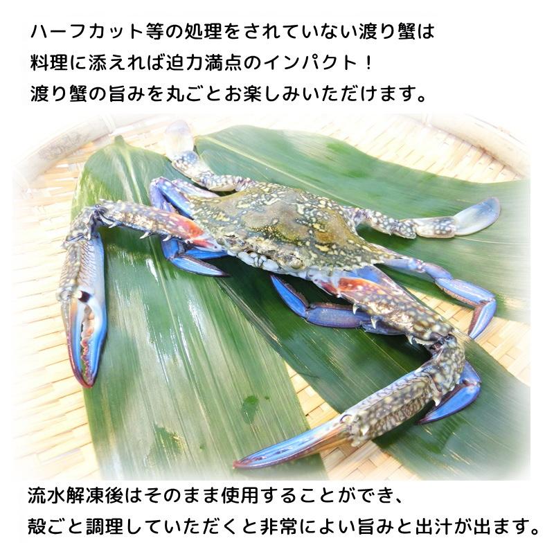 渡り蟹 ラウンド 約100g ワタリガニ姿　・渡り蟹姿・｜seafoodmax｜04