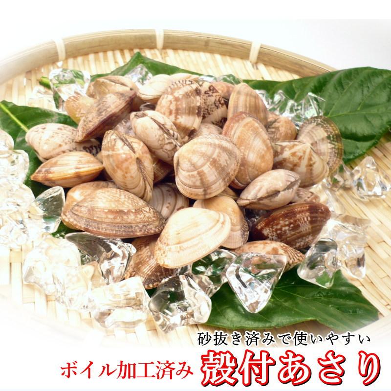 殻付き あさり 500g （約41〜50粒入）ボイル済み アサリ 冷凍・殻付