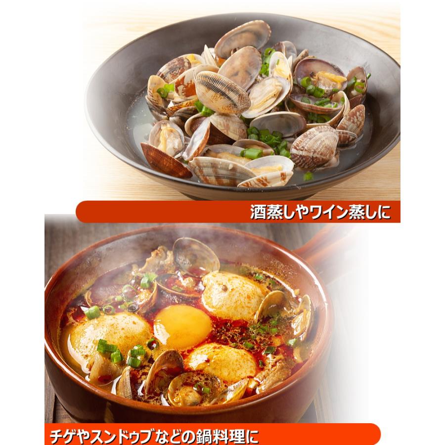殻付き あさり 500g （約41〜50粒入）ボイル済み アサリ 冷凍・殻付