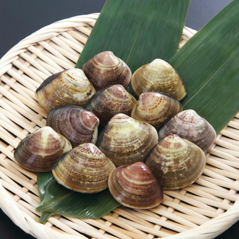 はまぐり ハマグリ 蛤 Lサイズ 殻付ハマグリ 500g ボイル加工 はまぐり ハマグリ 蛤 Lサイズ 殻付ハマグリ 500g ボイル加工