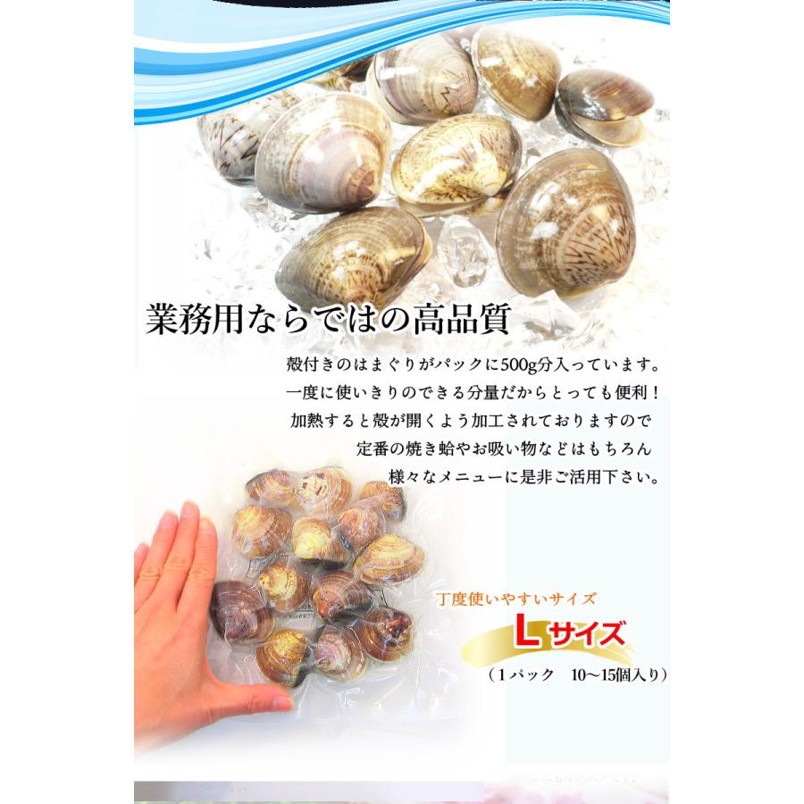 はまぐり ハマグリ 蛤 Lサイズ 殻付ハマグリ 500g ボイル加工 はまぐり ハマグリ 蛤 Lサイズ 殻付ハマグリ 500g ボイル加工