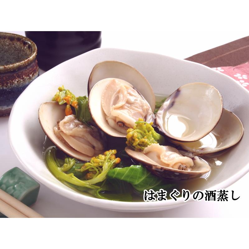 はまぐり ハマグリ 蛤 Lサイズ 500g（約10〜15個入り） 殻付ハマグリ