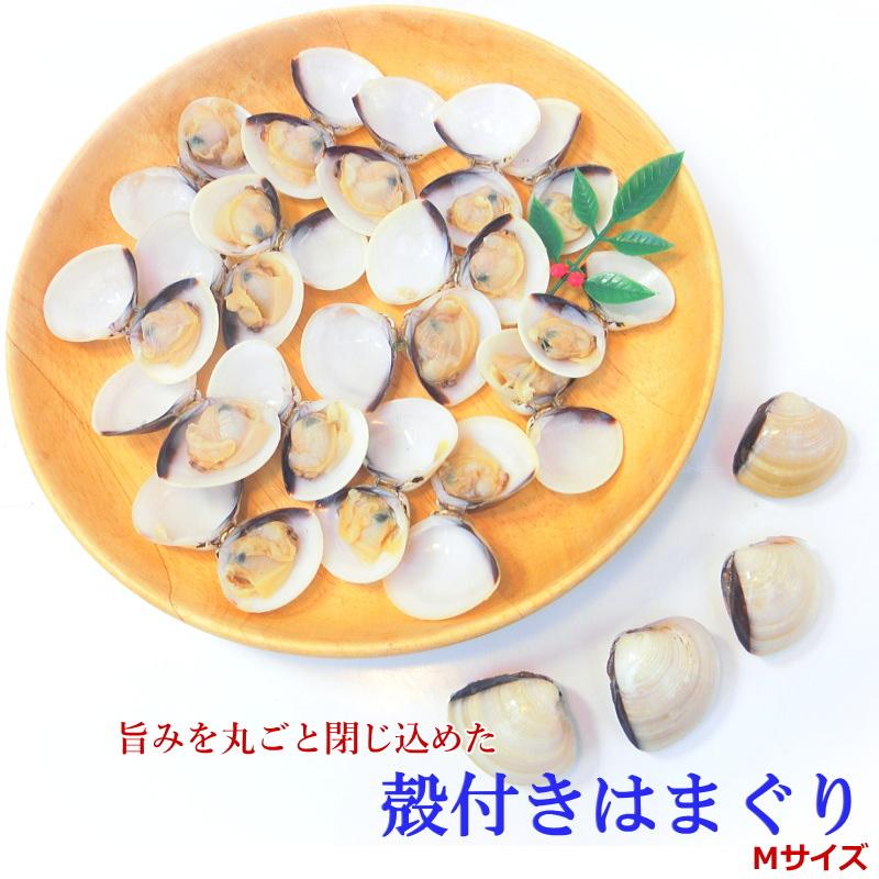 はまぐり ハマグリ 蛤 Mサイズ 500g（約20〜30個入り）殻付ハマグリ