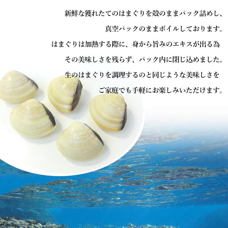 ハマグリページ はまぐり ハマグリ 蛤 Mサイズ 500g（約20〜30個入り）殻付ハマグリ