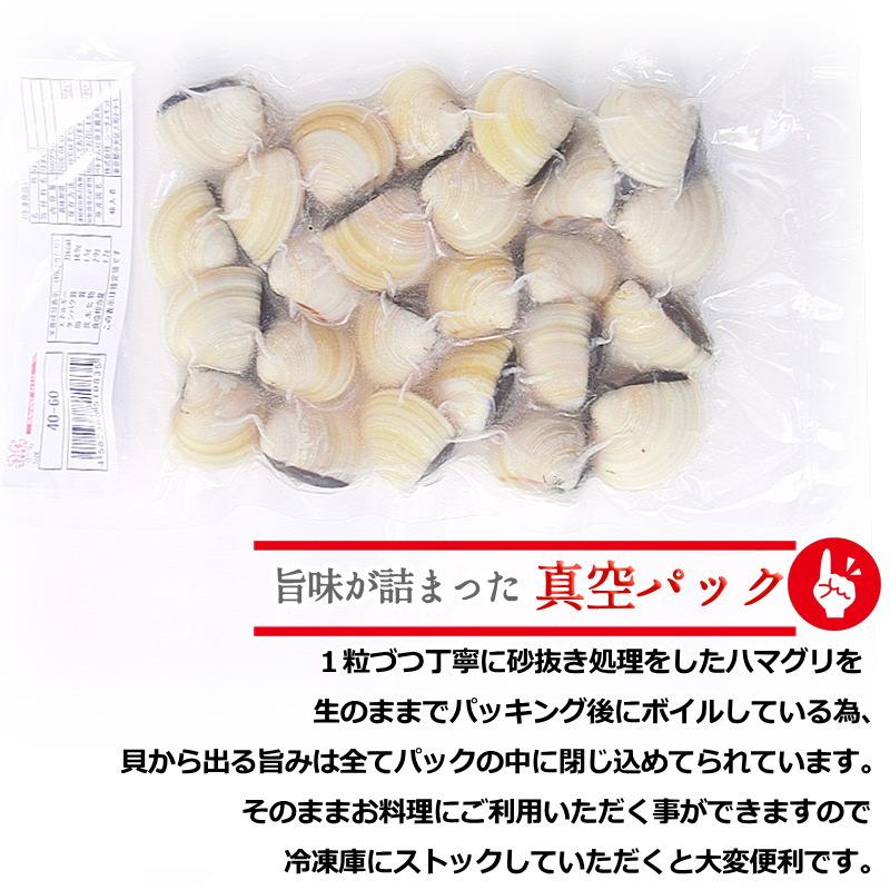 はまぐり ハマグリ 蛤 Mサイズ 500g（約20〜30個入り）殻付ハマグリ