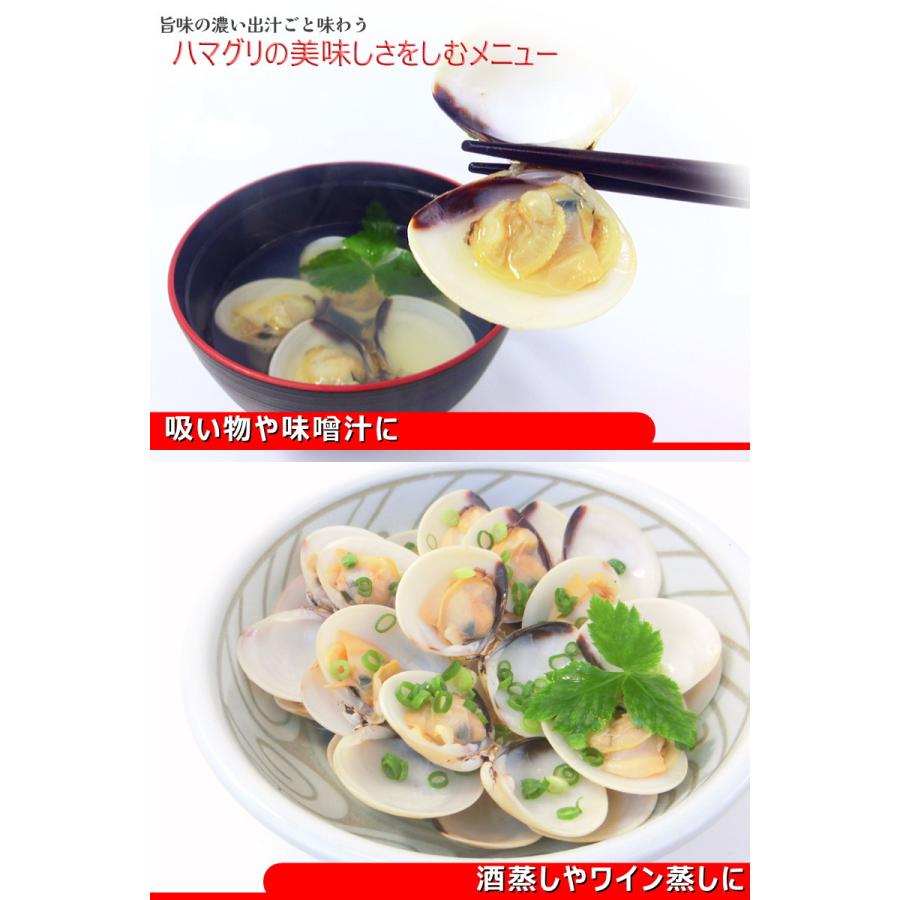 ハマグリ購入ページ 日本一の生産地 茨城県鹿島灘産はまぐり 18粒以上【ハマグリ 蛤 海鮮