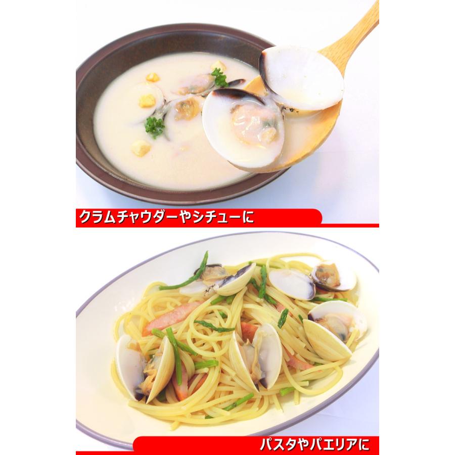 はまぐり ハマグリ 蛤 Mサイズ 500g（約20〜30個入り）殻付ハマグリ