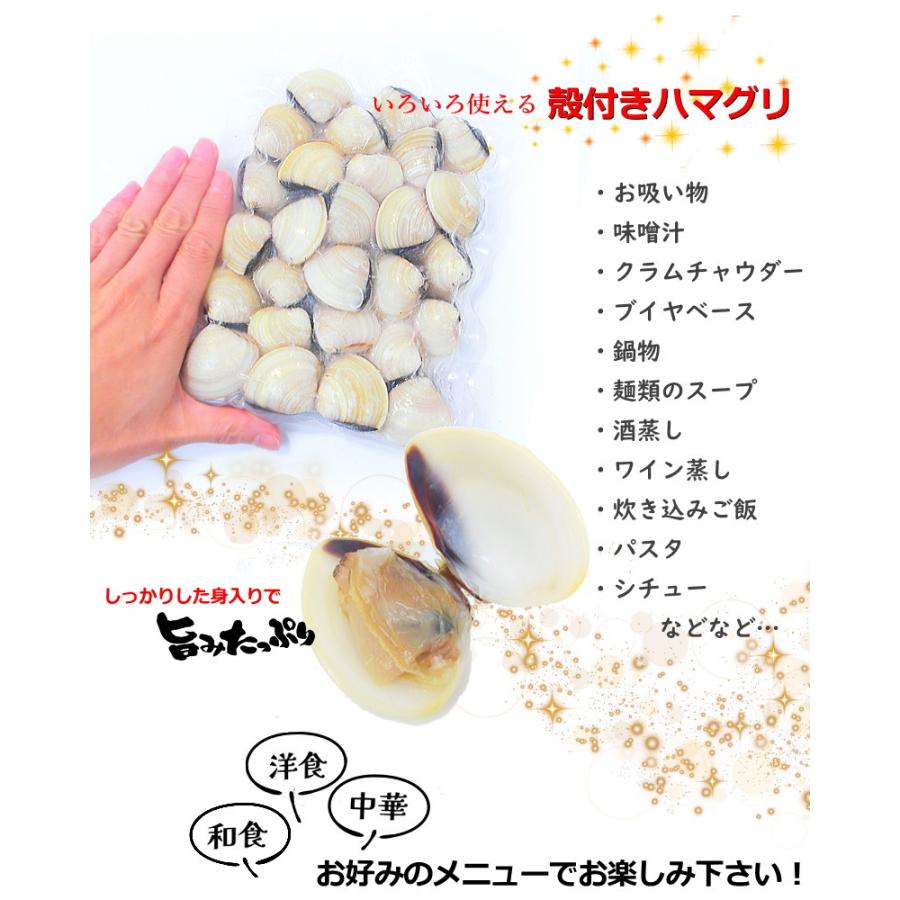 ハマグリページ 楽天市場】はまぐり 冷凍 ボイル 殻付はまぐり Mサイズ 20-30個