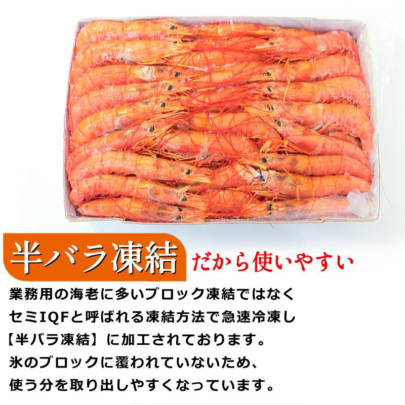 海老 天然伊勢海老・千葉県生冷活〆 大サイズ 500gUP×3尾入1.8kg