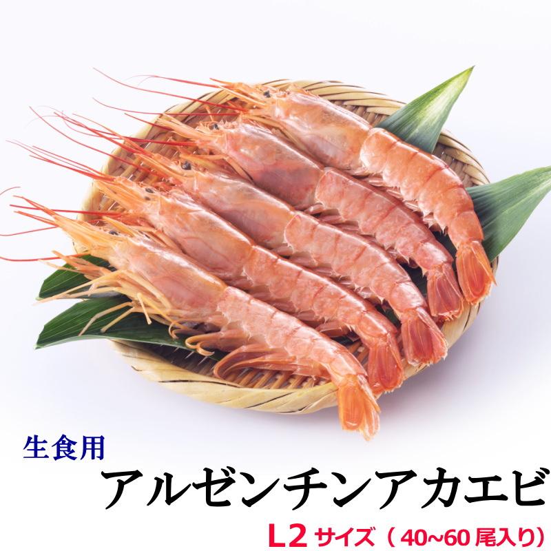 赤海老 刺身 赤エビ 冷凍 アルゼンチン赤海老 L2 天然海老 2kg 40-60尾入 アカエビ 赤えび あかえび アルゼンチンアカエビ ...