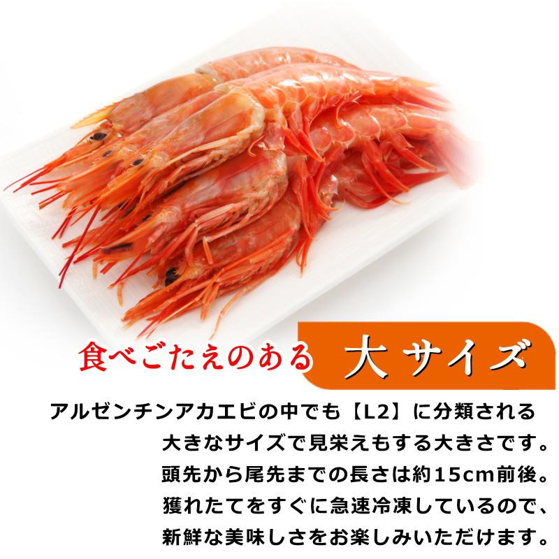 赤海老 刺身 赤エビ 冷凍 アルゼンチン赤海老 L2 天然海老 2kg 40-60尾