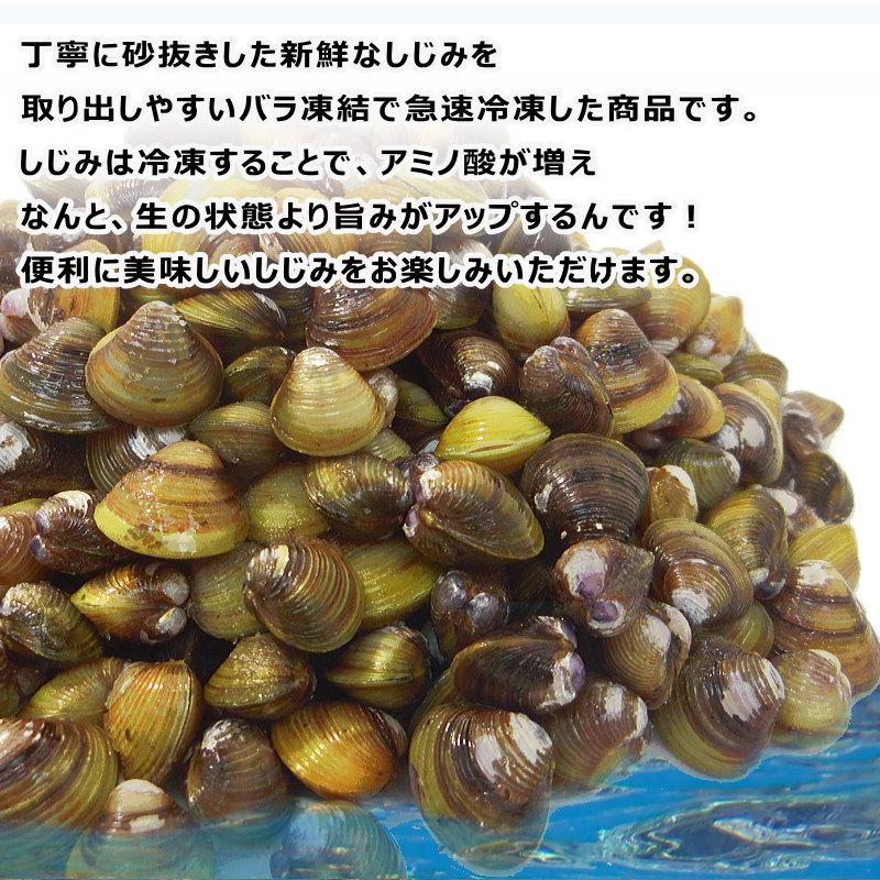 しじみ 冷凍 1kg 殻付き シジミ 蜆 砂抜き済み バラ凍結 味噌汁