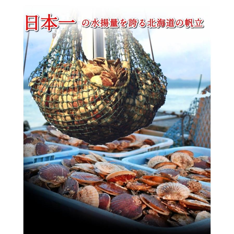 ホタテ ほたて 貝柱 M 1kg 26-30個入 北海道産 お刺身用 ホタテ貝柱