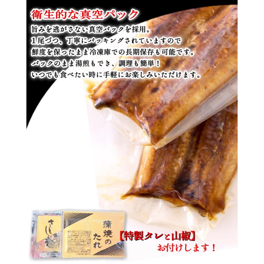 送料無料】うなぎ 蒲焼き 250g 特大サイズ【2尾購入で1尾おまけ 送料無料】うなぎ 蒲焼き 250g 特大サイズ【2尾購入で1尾おまけ