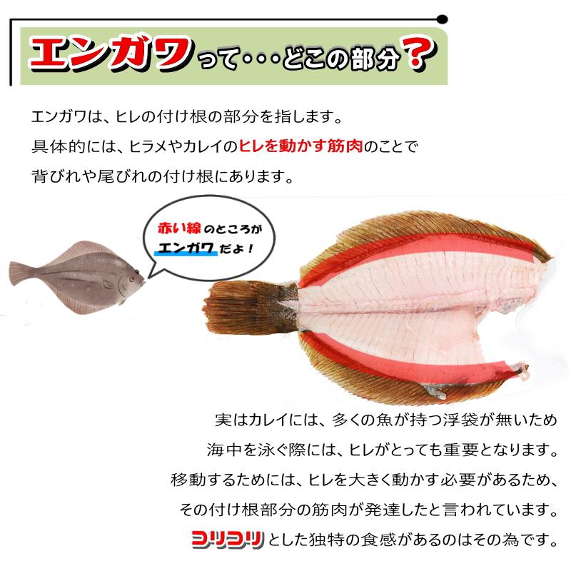 エンガワ 500g　えんがわ　カレイのえんがわ   カレイ 鰈　縁側・エンガワ500ｇ・｜seafoodmax｜04