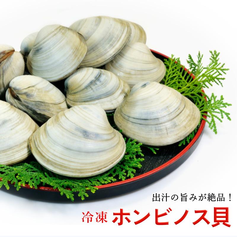 ホンビノス貝 1kg（約8〜12個入り） 大あさり 大粒 蛤 冷凍