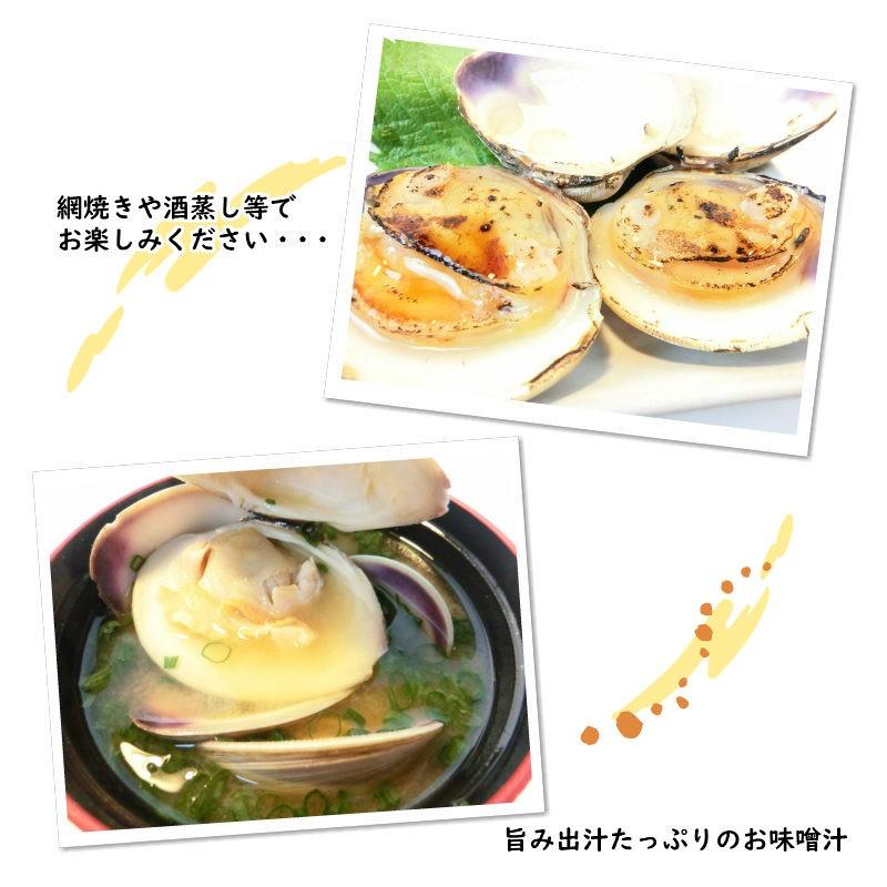 ホンビノス貝 大あさり 1kg 鮮度抜群 大粒 蛤 約９ 1２個入り ホンビノス貝 100 11 Seafoodmax 通販 Yahoo ショッピング