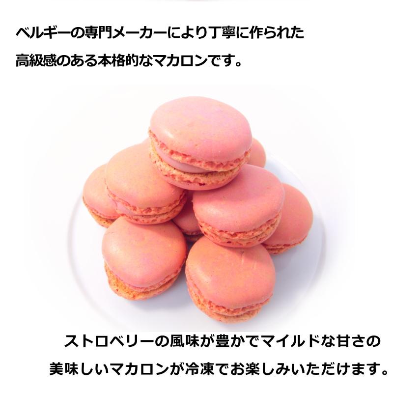 マカロン ストロベリー 12個入 ベルギー産 送料無料 スイーツ お菓子