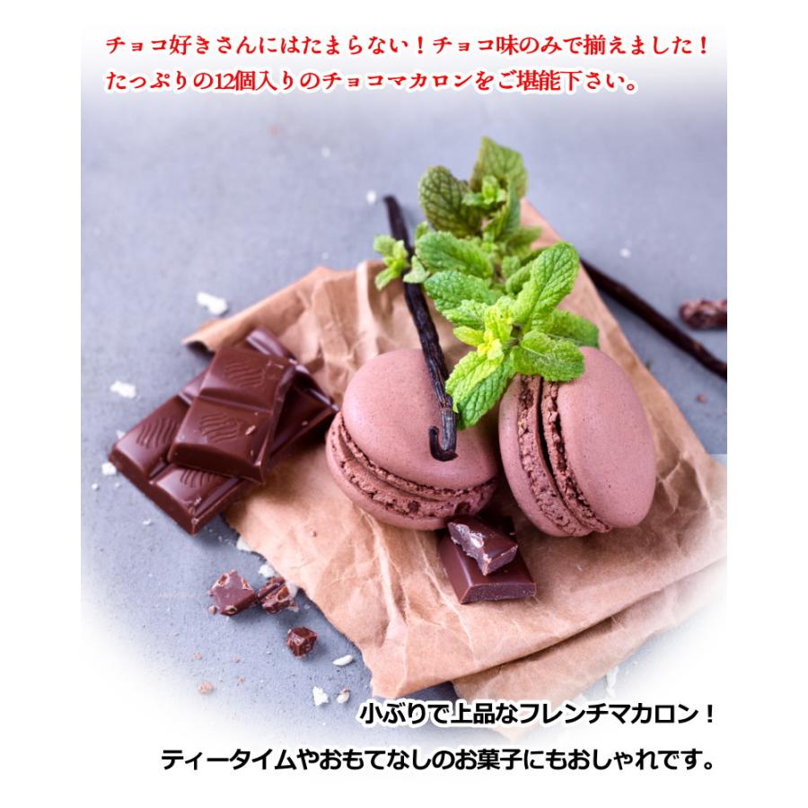 マカロン チョコレート 12個入 ベルギー産 送料無料 スイーツ お菓子