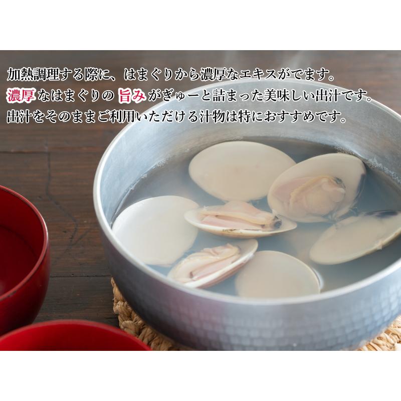 殻付き はまぐり 1kg 約100g-200gサイズ 地はまぐり ハマグリ 冷凍