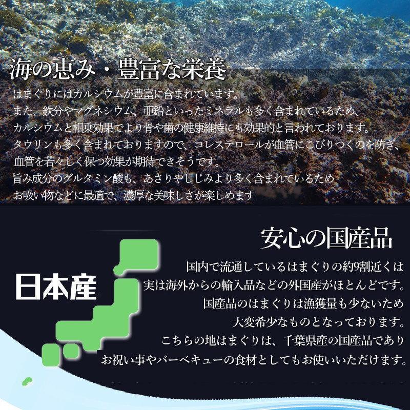 殻付き はまぐり 1kg 約100g-200gサイズ 地はまぐり ハマグリ 冷凍