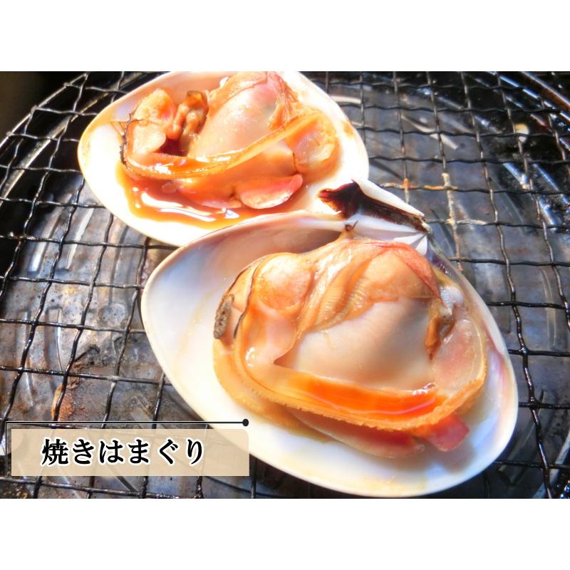 殻付き はまぐり 1kg 約100g-200gサイズ 地はまぐり ハマグリ 冷凍