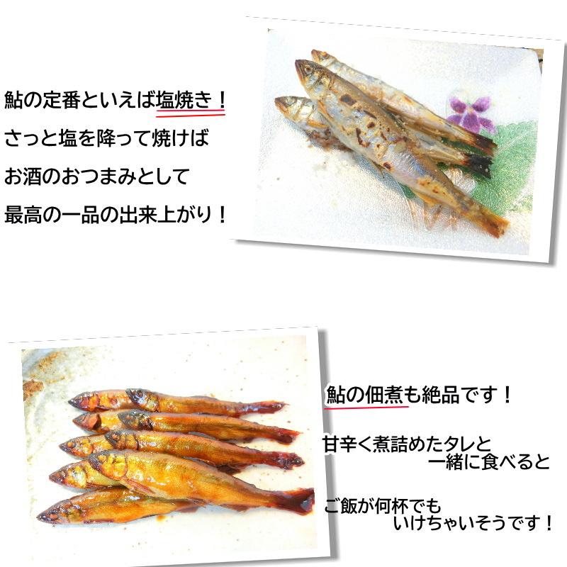 市場 結の舟 セット 天然鮎 お歳暮 ギフト 御歳暮 世界農業遺産認定 鮎 6976-674 清流長良川天然鮎 塩焼き お中元 のし 焼き魚 市場 結の舟 セット 天然鮎 お歳暮 ギフト 御歳暮 世界農業遺産認定 鮎 6976-674 清流長良川天然鮎 塩焼き お中元 のし 焼き魚