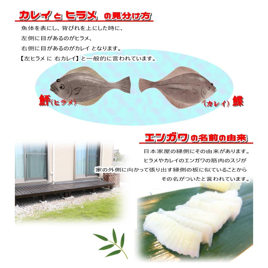 えんがわ 鰈エンガワ 切り落とし 500g カレイのえんがわ 刻み カレイ