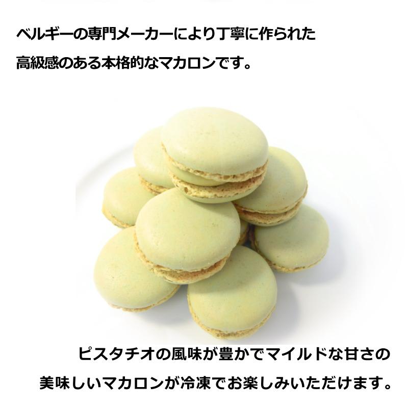 マカロン ピスタチオ 12個入 ベルギー産 送料無料 スイーツ お菓子
