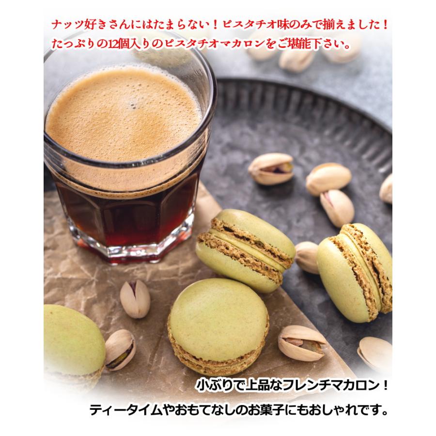 マカロン ピスタチオ 12個入 ベルギー産 送料無料 スイーツ お菓子