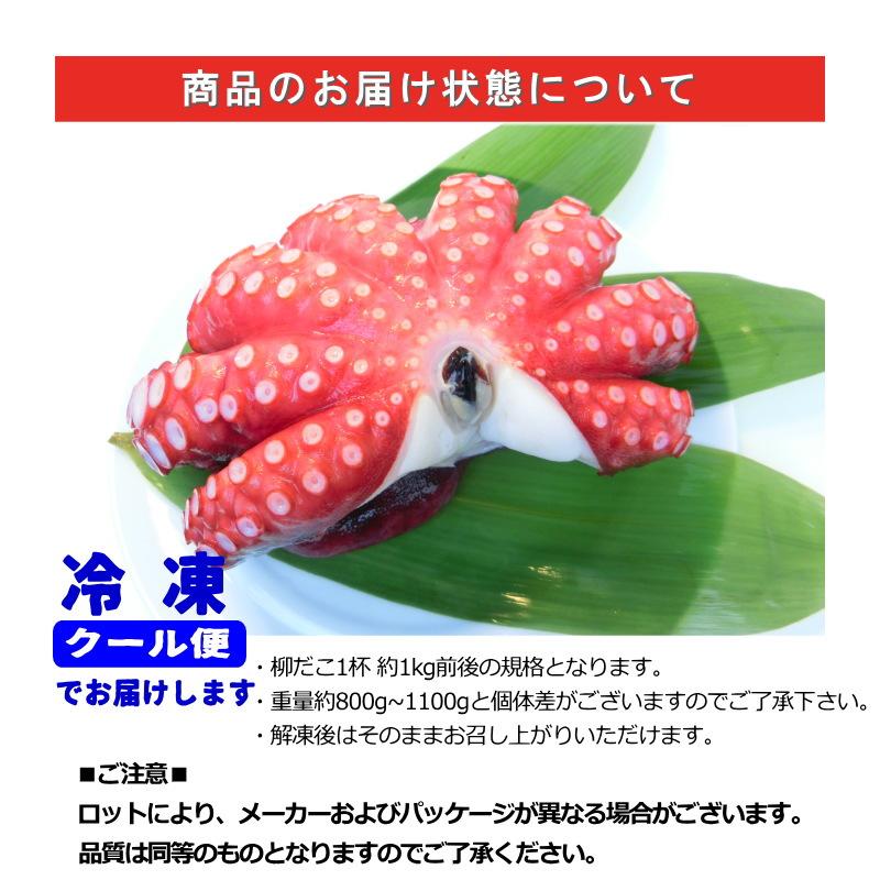 ゆでだこ 瀬戸内海産】茹でタコ 約600g – 高知かわうそ市場