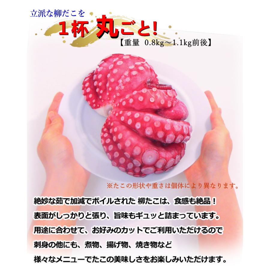 たこ タコ 蒸しタコ 1杯 800〜1000g ボイルたこ 蛸 柳たこ 柳