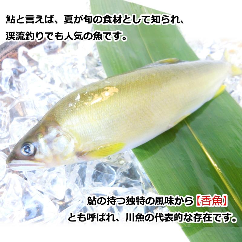 魔王 1800ml 専用箱付き　あゆ 楽天市場】魔王 箱の通販