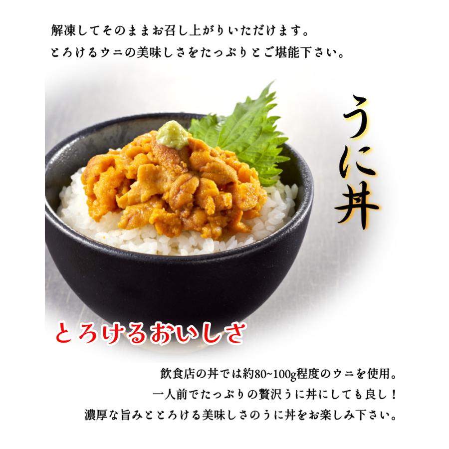 生うに 100g 冷凍 ブランチ加工 チリ産 うに ウニ 雲丹 寿司 お 生うに 100g 冷凍 ブランチ加工 チリ産 うに ウニ 雲丹 寿司 お