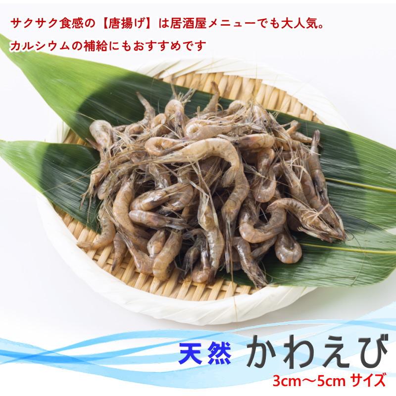 川エビ冷凍 天然 かわえび 川海老 1kg（500g×2）業務用 川エビ