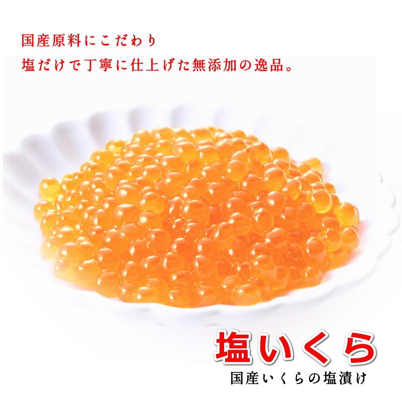 いくら 北海道鮭卵使用 塩いくら 無添加 イクラ 鮭卵 40g 小分けパック