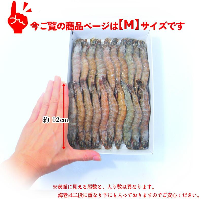 エビ 冷凍 ソフトシェルシュリンプ Mサイズ 30尾入 ニチレイ 有頭エビ