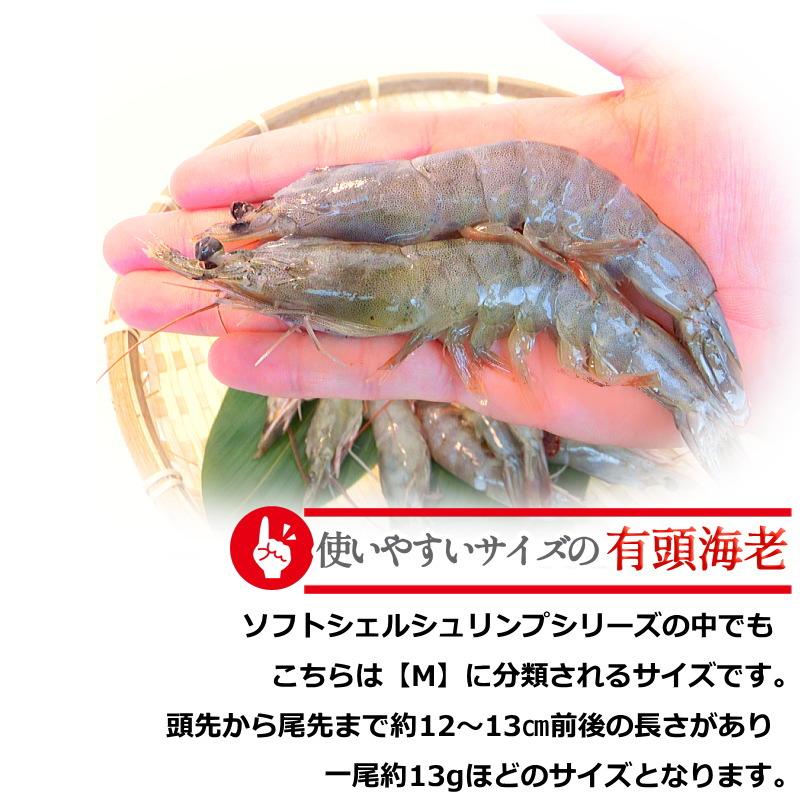 エビ 冷凍 ソフトシェルシュリンプ Mサイズ 30尾入 ニチレイ 有頭エビ
